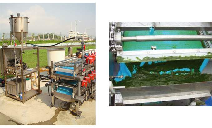 Микро (зеленый) сбор водорослей машина (многослойные фильтры настроены продукты)